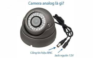 Ứng dụng Camera Analog