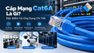 Cáp Mạng Cat6A Là Gì?